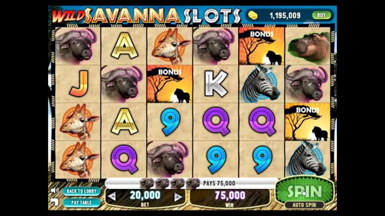 845% Meilleur casino bonus d'inscription au Royal Vegas Casino